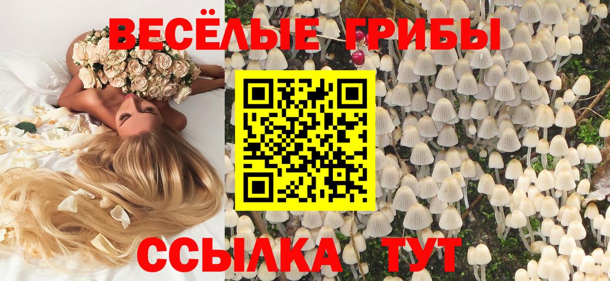 Галлюциногенные грибы Psilocybine cubensis  Псилоцибиновые грибы MAGIC MUSHROOMS  Вход с VPN  Первоуральск 