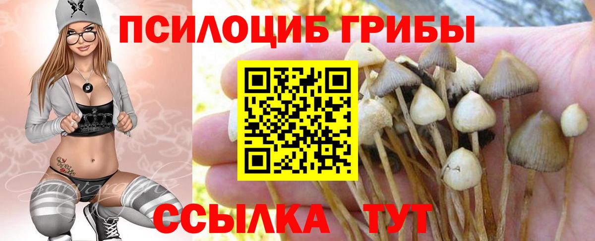 Псилоцибиновые грибы мухоморы Первоуральск